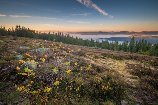 Herbstmorgen auf der Schnepfhalde