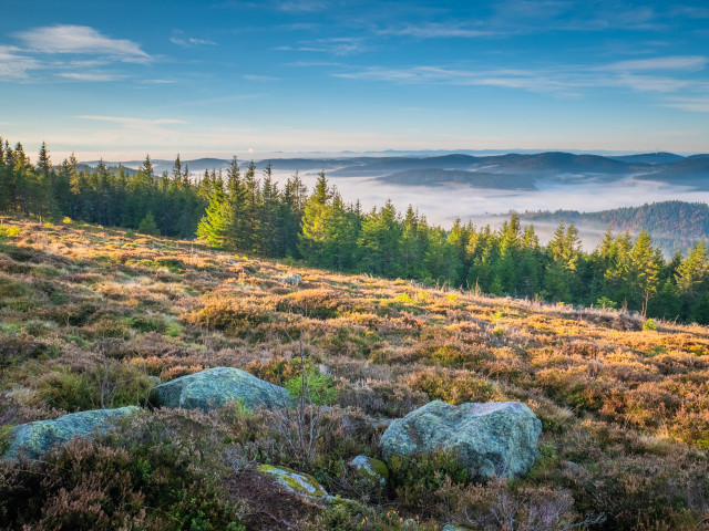 Herbstmorgen auf der Schnepfhalde