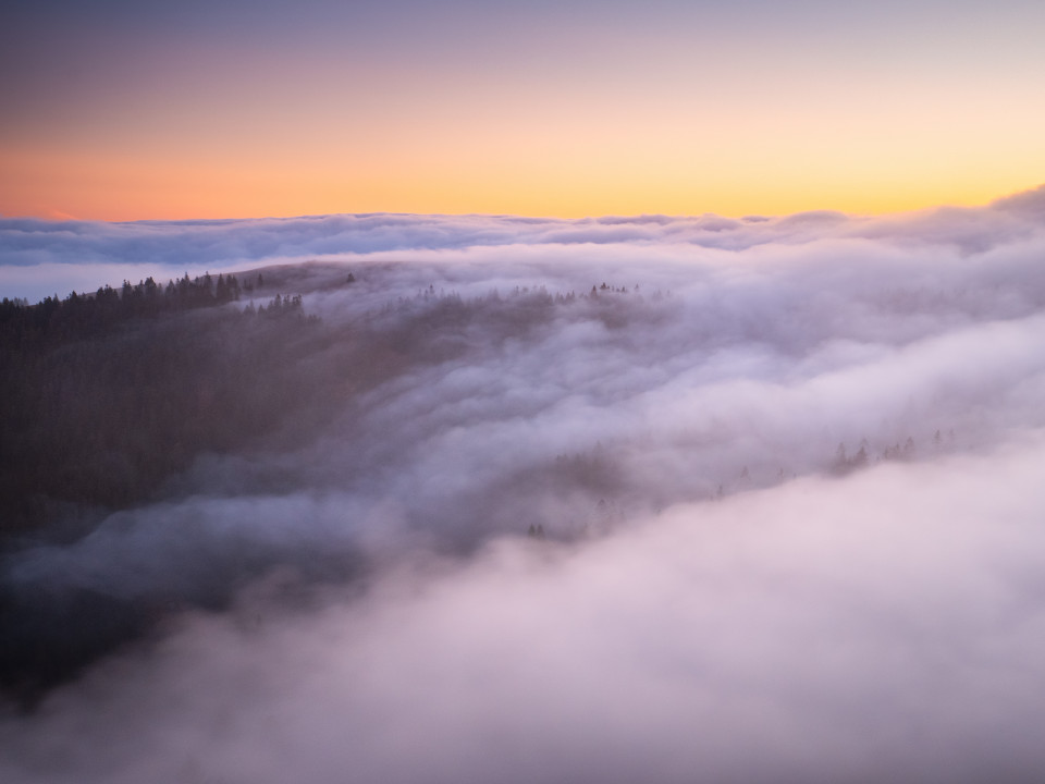 Morgenstimmung bei Inversionswetterlage auf dem Feldberg