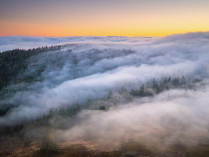 Morgenstimmung bei Inversionswetterlage auf dem Feldberg