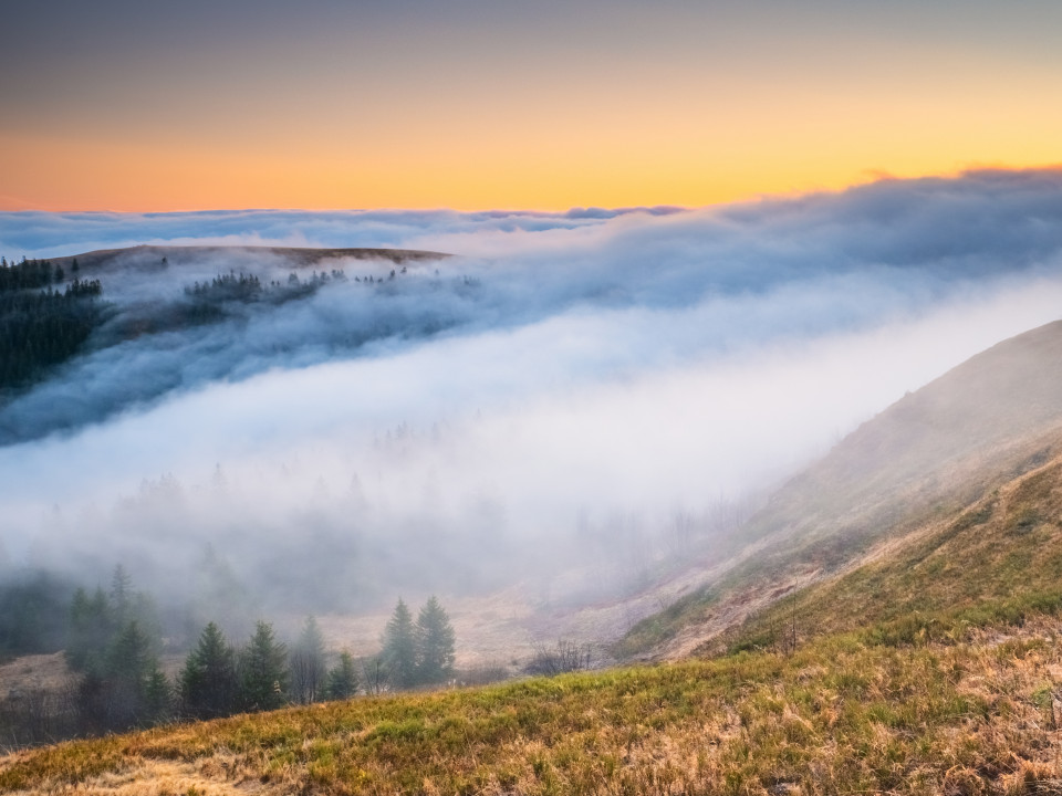 Morgenstimmung bei Inversionswetterlage auf dem Feldberg