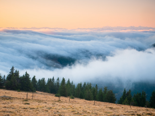 Morgenstimmung bei Inversionswetterlage auf dem Feldberg