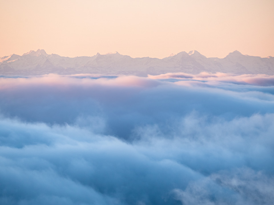 Hochnebel und Alpenblick auf dem Feldberg