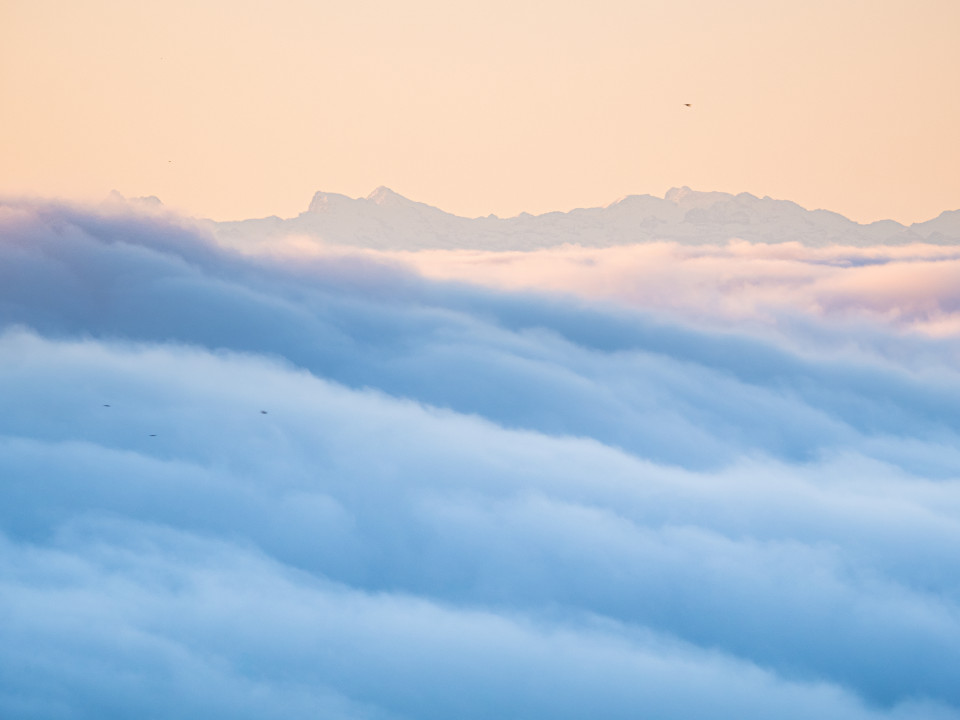 Hochnebel und Alpenblick auf dem Feldberg