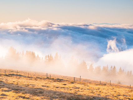 An der Nebelobergrenze auf dem Feldberg