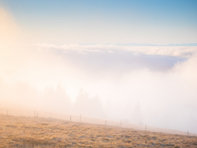 An der Nebelobergrenze auf dem Feldberg