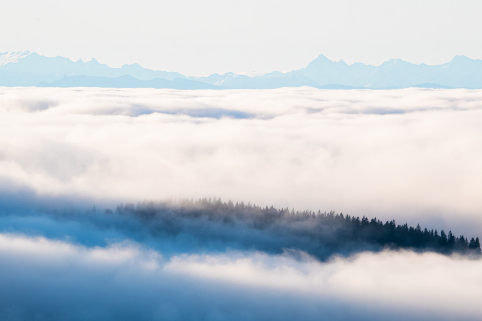 Hochnebel und Alpenblick auf dem Feldberg