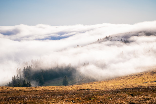 Hochnebel um den Seebuck