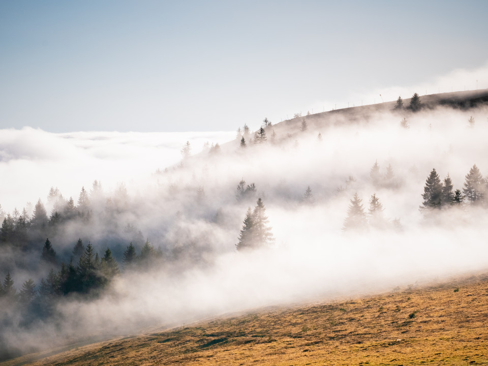 Hochnebel um den Seebuck