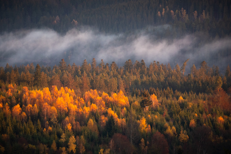 Blick über das Gutachtal