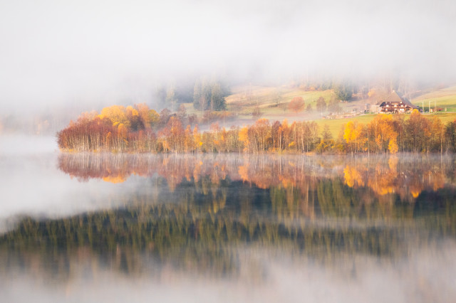 Frühnebel am Schluchsee