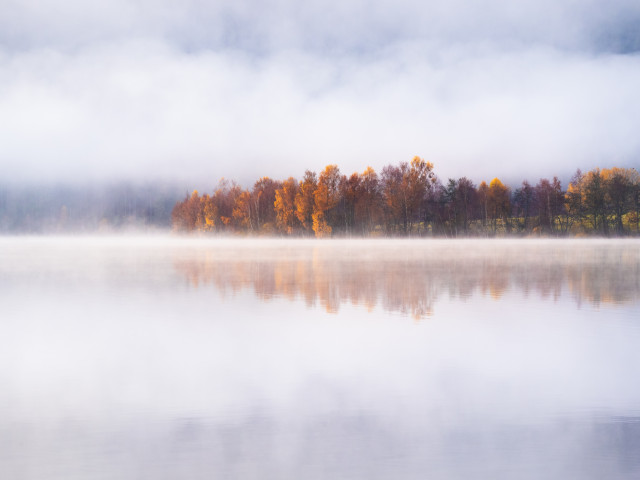 Frühnebel am Schluchsee