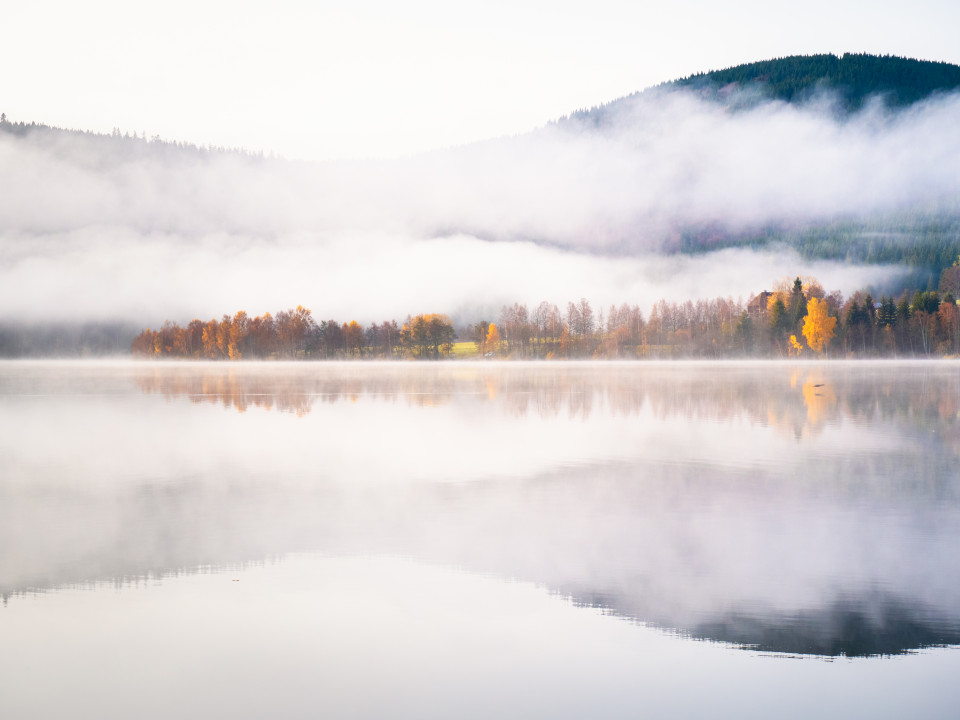 Frühnebel am Schluchsee