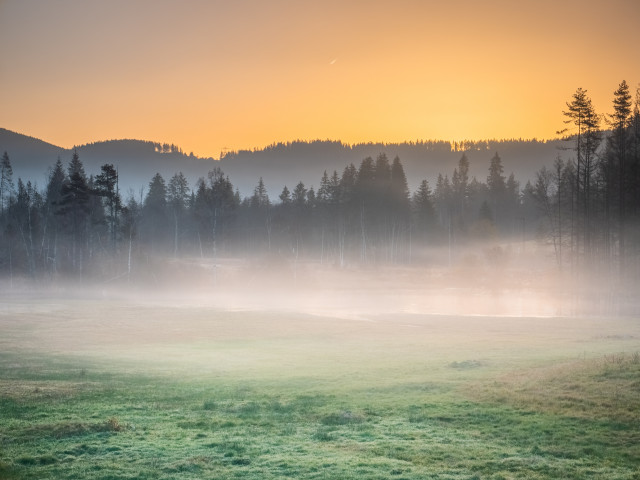 Moorlandschaft bei Titisee