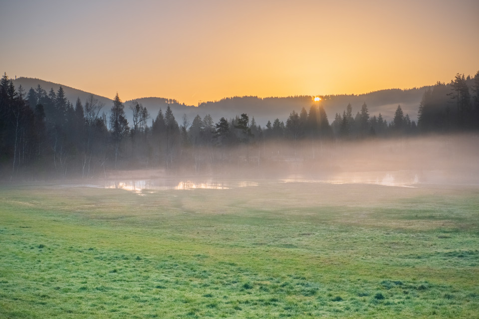 Moorlandschaft bei Titisee