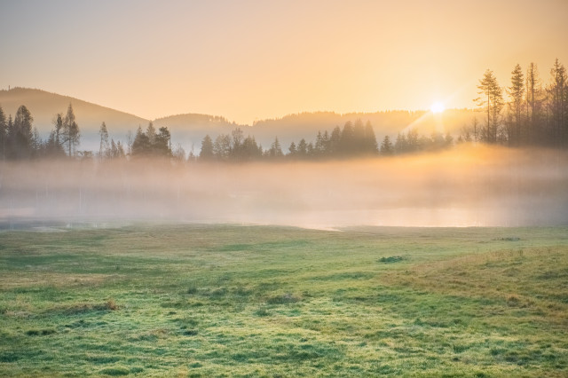 Moorlandschaft bei Titisee