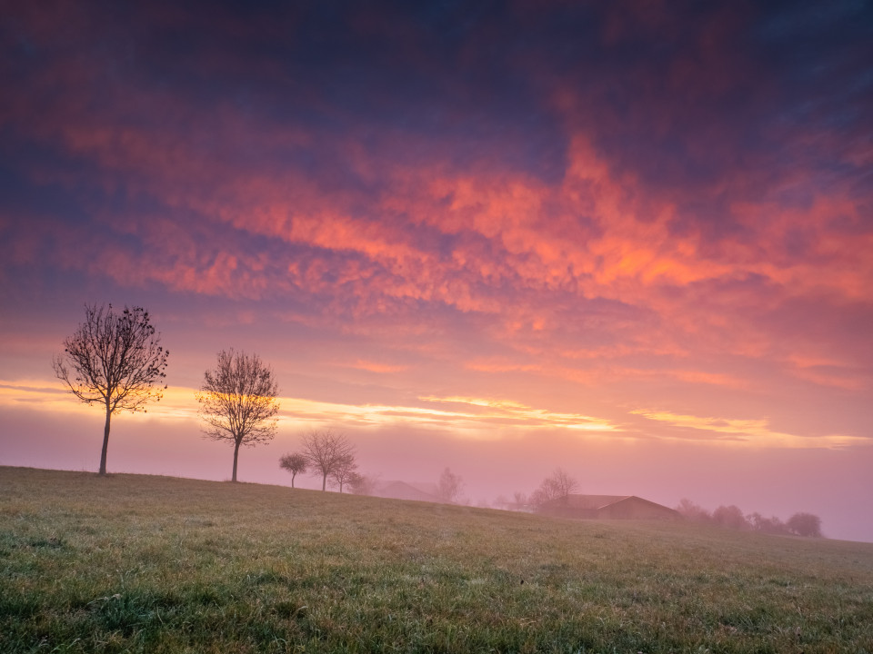 Morgenrot bei Göschweiler