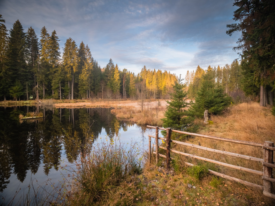 Ehemaliger Rundweg am Eisweiher