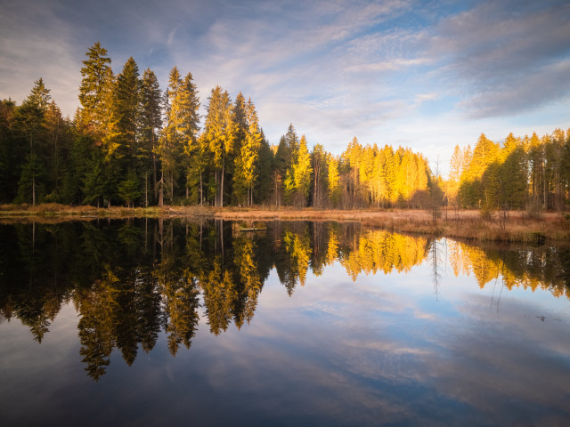 Eisweiher bei Titisee