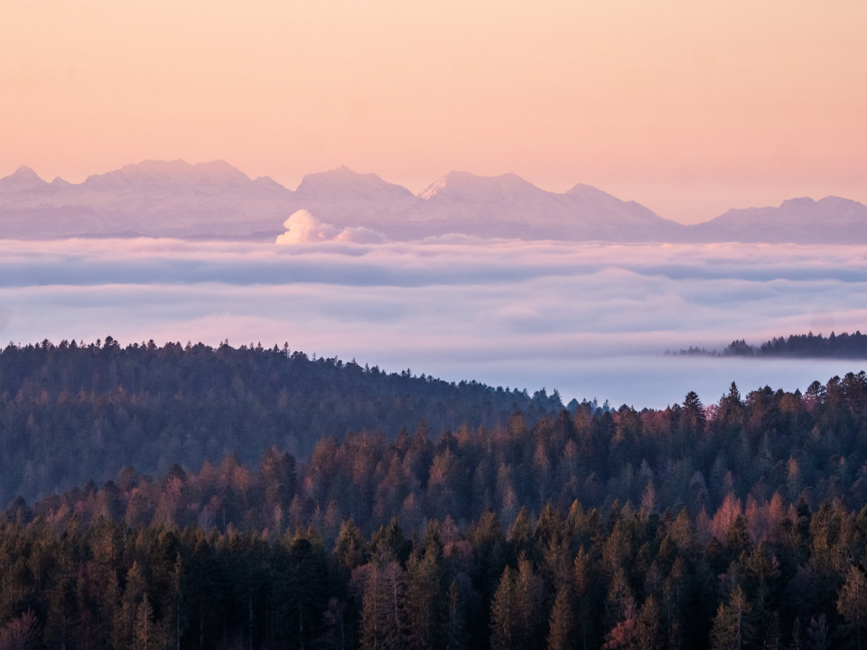 Alpenblick bei Ibach