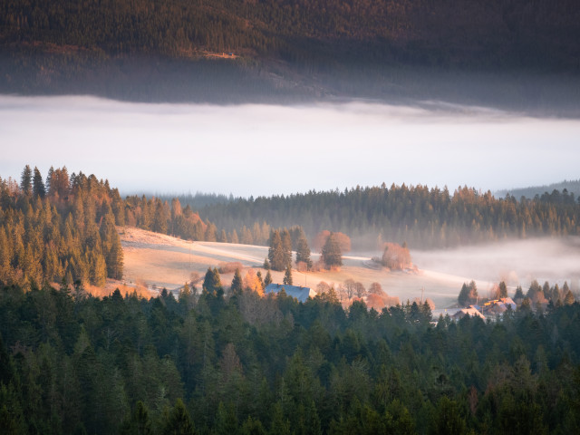 Blick über Mutterslehen