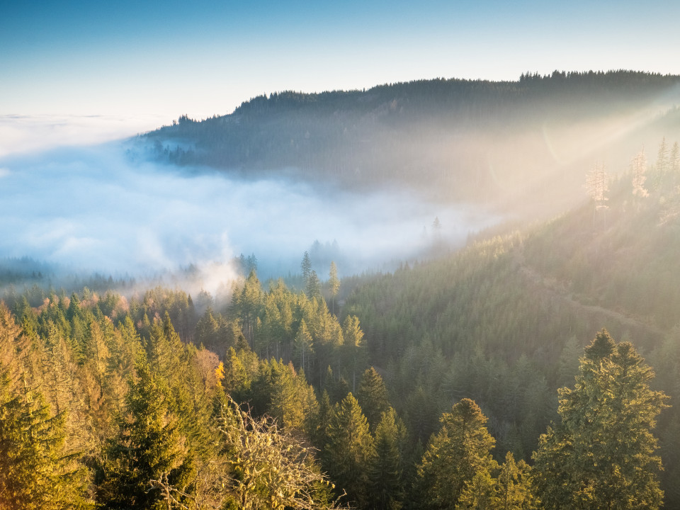 Auf dem Stoßfelsen bei Lenzkirch