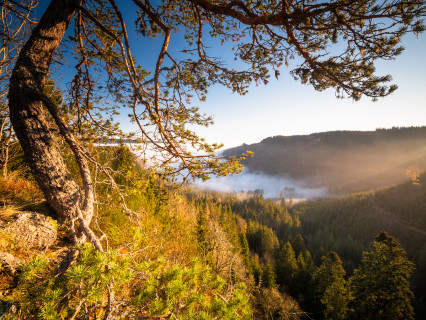 Auf dem Stoßfelsen bei Lenzkirch