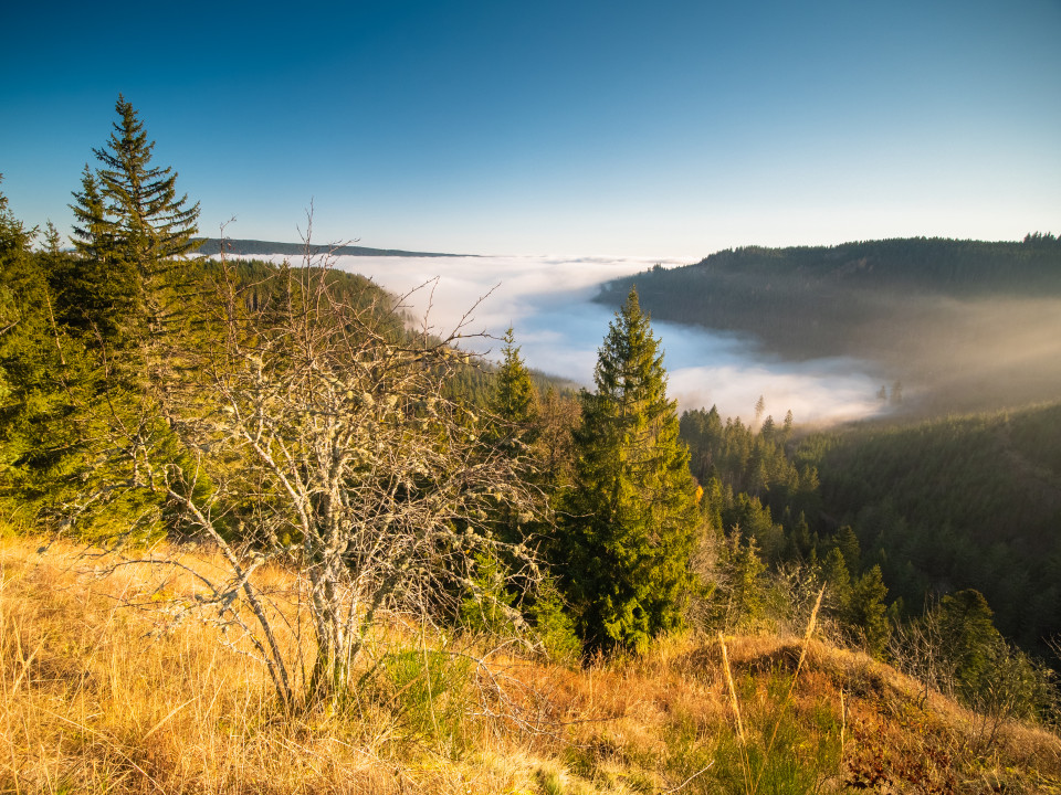 Auf dem Stoßfelsen bei Lenzkirch