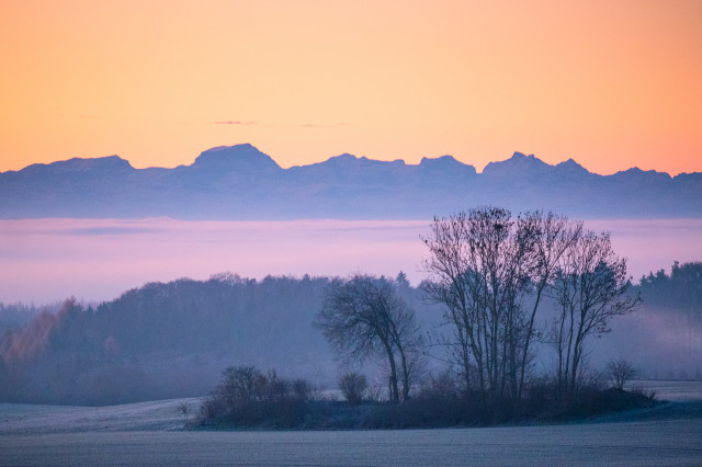 Alpenblick bei Lembach