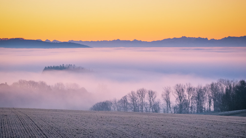 Alpenblick bei Lembach