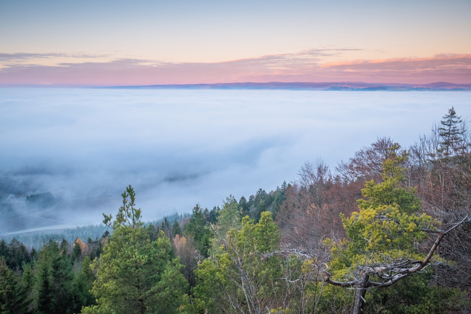 Blick vom Randen zum Schwarzwald