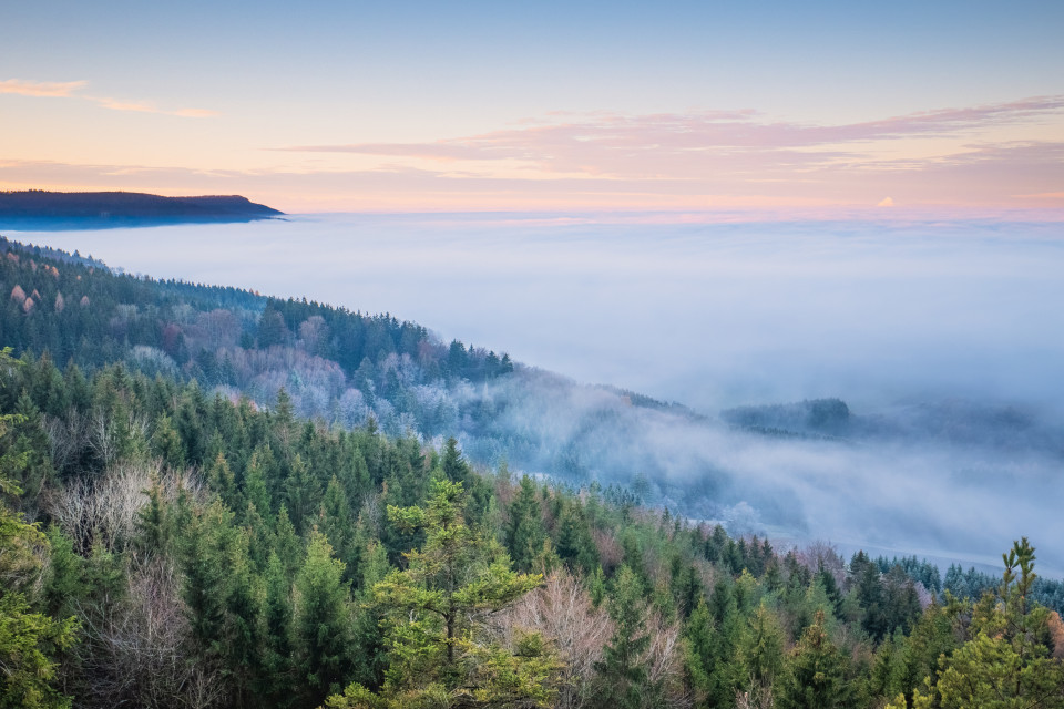 Nebelmeer unter dem Randen