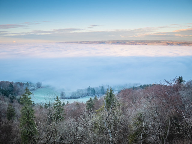 Blick vom Randen zum Schwarzwald