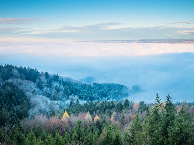 Blick vom Randen zum Schwarzwald