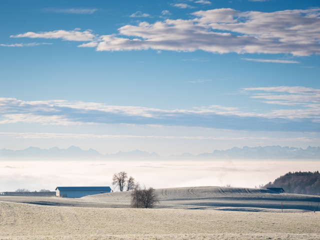 Alpenblick bei Lembach