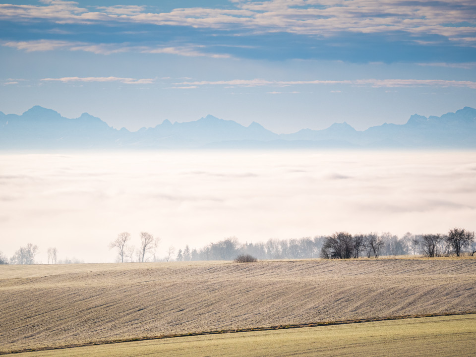 Alpenblick bei Lembach