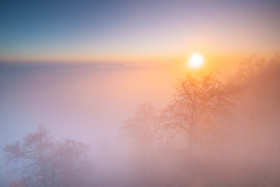 Hohenhewen bei Sonnenaufgang an der Nebelobergrenze