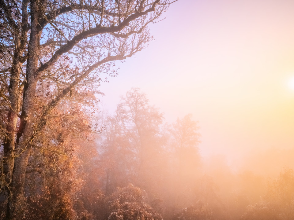 Hohenhewen bei Sonnenaufgang an der Nebelobergrenze