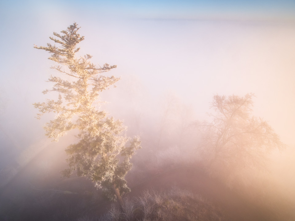 Hohenhewen bei Sonnenaufgang an der Nebelobergrenze