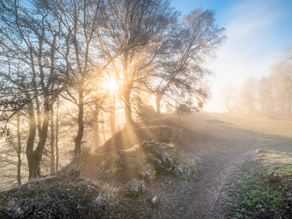 Hohenhewen bei Sonnenaufgang an der Nebelobergrenze