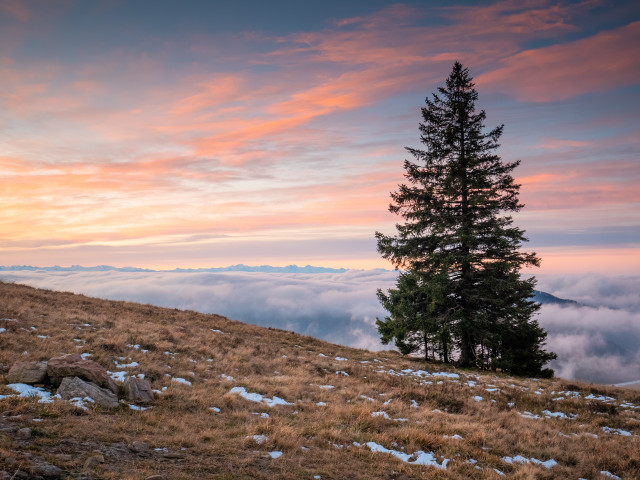 Spätherbstliche Inversion auf dem Herzogenhorn