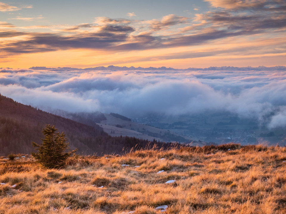 Spätherbstliche Inversion auf dem Herzogenhorn