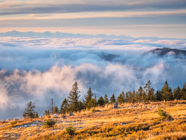 Spätherbstliche Inversion auf dem Herzogenhorn