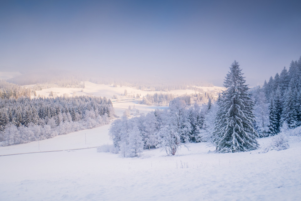 Aussicht am Mehlberg bei Hinterzarten