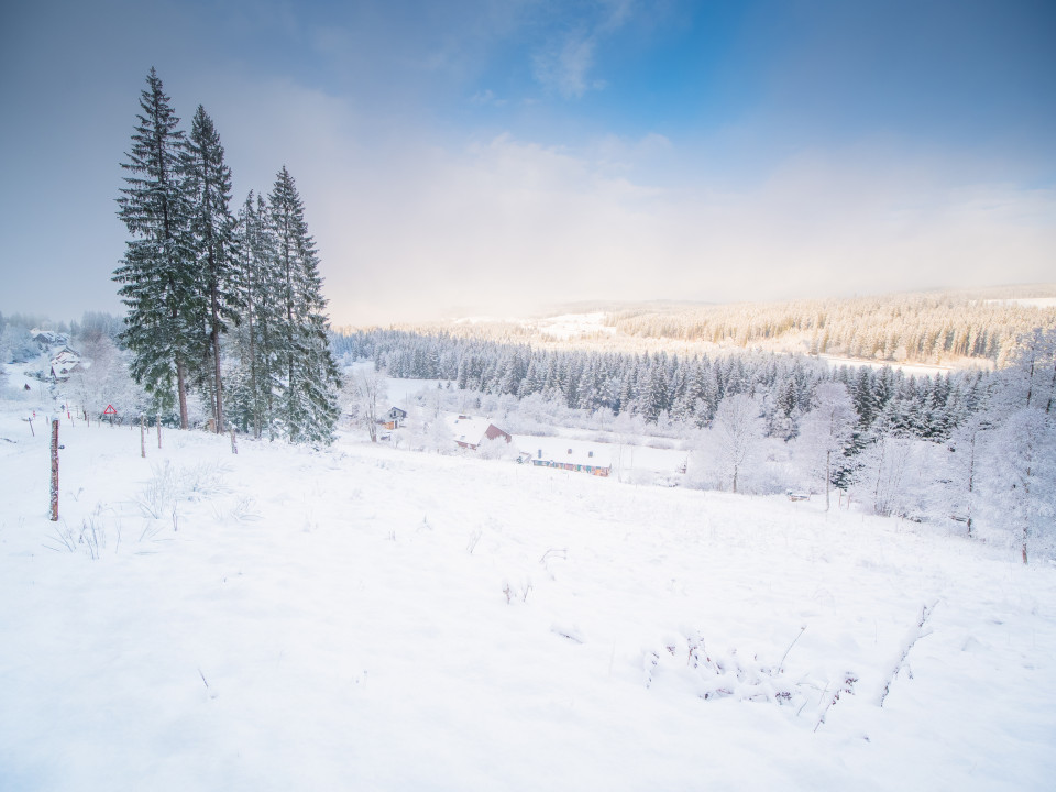 Aussicht am Mehlberg bei Hinterzarten