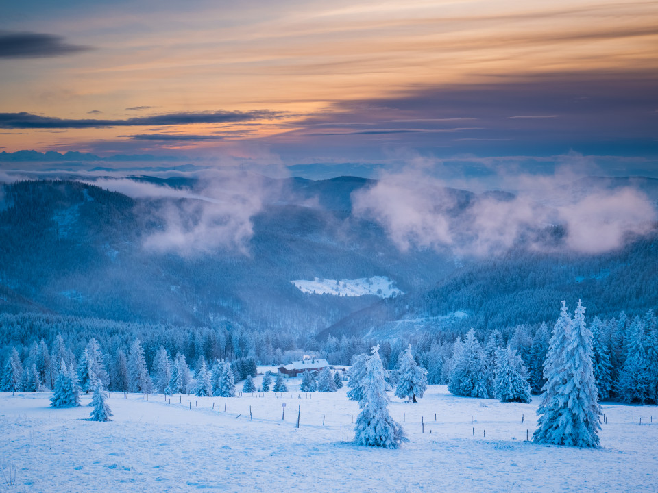 Winterlandschaft auf dem Feldberg