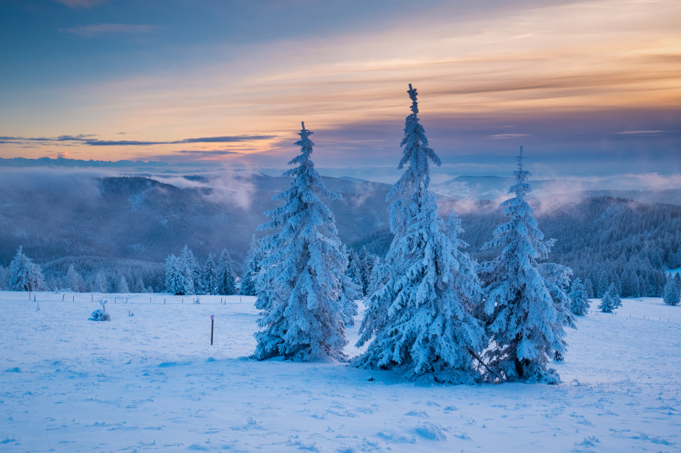 Winterlandschaft auf dem Feldberg