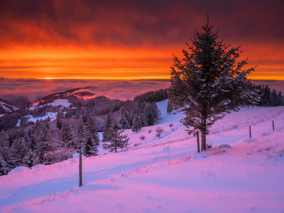 Winterliche Abendstimmung am Schauinsland