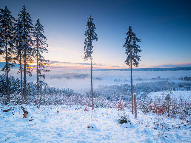 Winterlandschaft bei Kappel