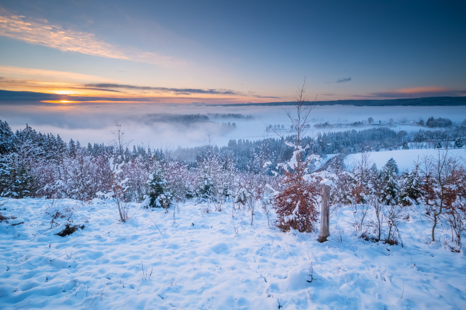 Winterlandschaft bei Kappel